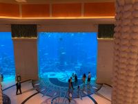 96CF2419-137B-40B2-B0D3-74590E21F51A