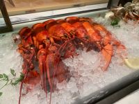 B1A4FEB7-BB5A-4CDD-9C80-934DD0E08E10