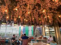 1240D223-94A7-4FFB-8F8C-D8580AAC7FA9