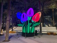 B47087B6-B57A-4329-9B1C-F8333F6C3BE6