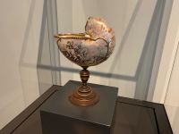 D0D16E49-BE5B-42A2-ADBD-BE2B96F59267