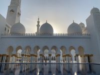 7C07DAB5-1DFD-4384-9B18-DED4F5FAF4AA