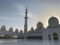 C78EF779-C8D7-4EE7-88FB-50F1A27DA42D