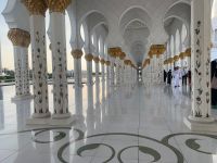 481DAAEE-BD52-48A2-B18A-E8C36C6081C8