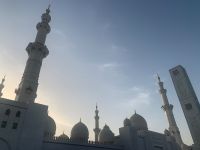 A6B823D7-9707-40F5-8F9B-8E96F94C8455