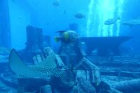 Aquarium im Atlantis Hotel