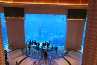 Aquarium im Atlantis Hotel
