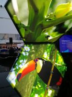 Biodiversität in Brasilien 