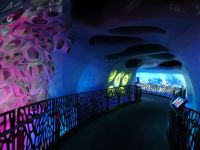 Wieviel Plastik befindet sich in den Weltmeeren? 