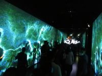 Neuseeland_Inspirierende Urwaldlandschaften (Gondwana) 