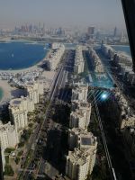 Stamm der Palme_ Monorail 