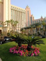 Atlantis The Palm
