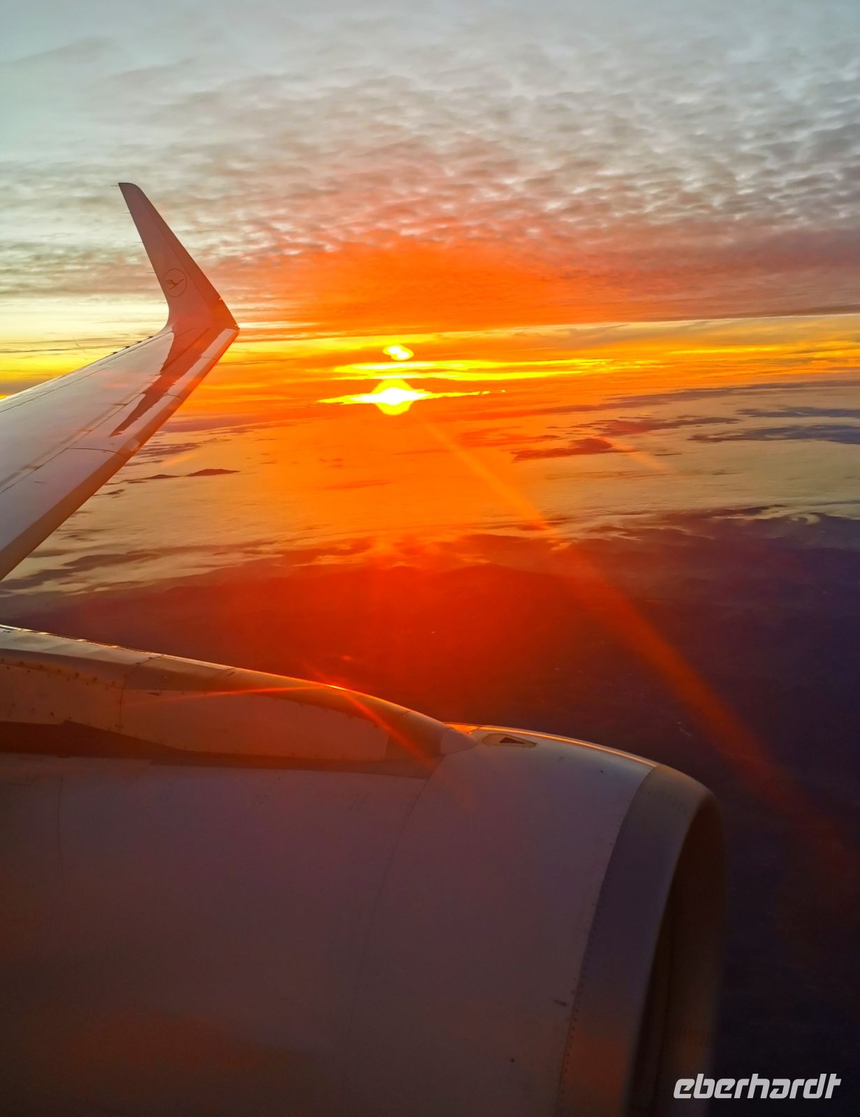 Dafür hat sich das frühe Aufstehen gelohnt