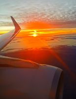 Dafür hat sich das frühe Aufstehen gelohnt