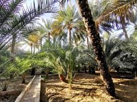 Falaj-Bewässerungssystem in den Hili Gärten in Abu Dhabi