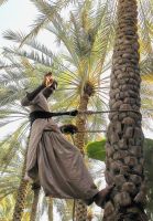 Zum Winken bleibt auch noch Zeit, Hili Gärten in Al Ain