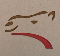 An der Kamelrennbahn in Dubai