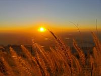 Wir müssen Abschied nehmen und sind wehmütig