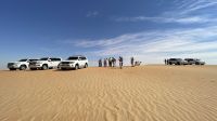 Wüstensafari 