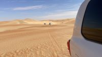 Wüstensafari 