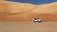 Wüstensafari 