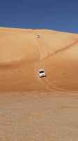 Wüstensafari 