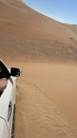 Wüstensafari 