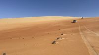 Wüstensafari 