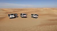 Wüstensafari 