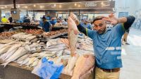 Abu Dhabi - Besuch des Fischmarkts