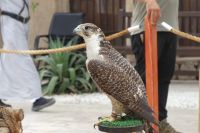 im Bastakiya Viertel