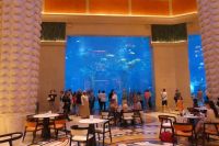 im Atlantis Hotel