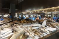 Fischmarkt Abu Dhabi