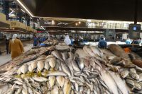 Fischmarkt Abu Dhabi