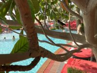 Poolanlage mit Vogelgezwitscher im Khalidiya Palace Rayhaan Rotana
