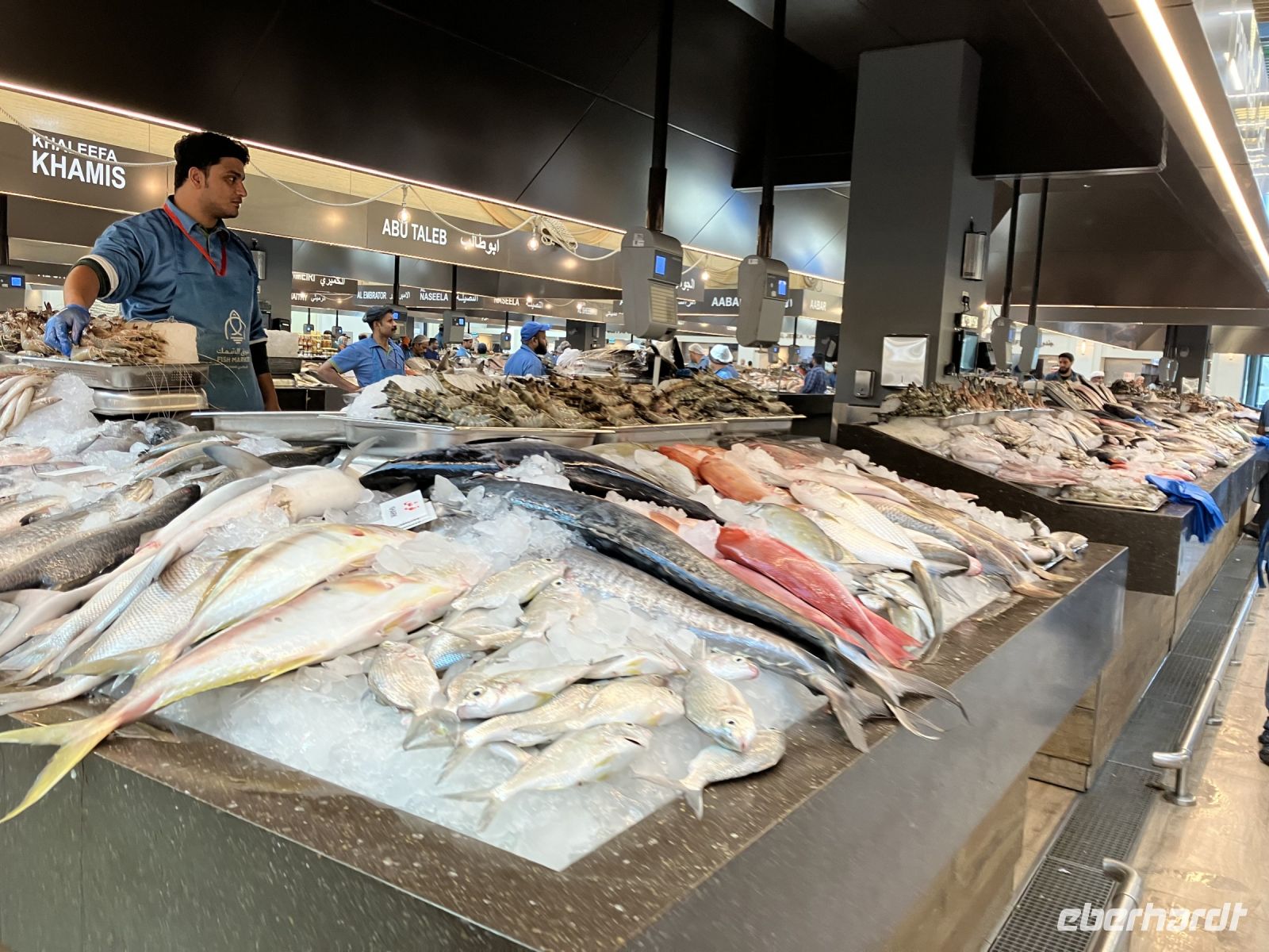 Fischmarkt Abu Dhabi