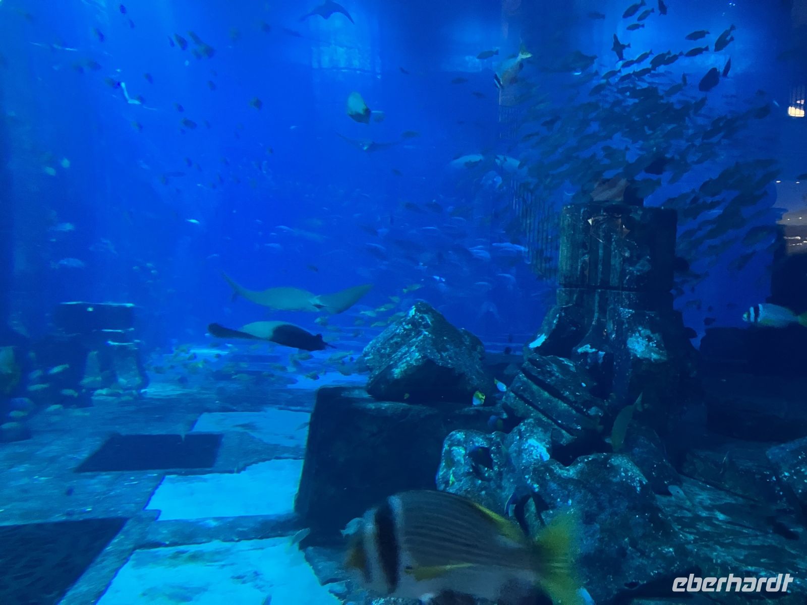 Aquarium im Atlantis Hotel