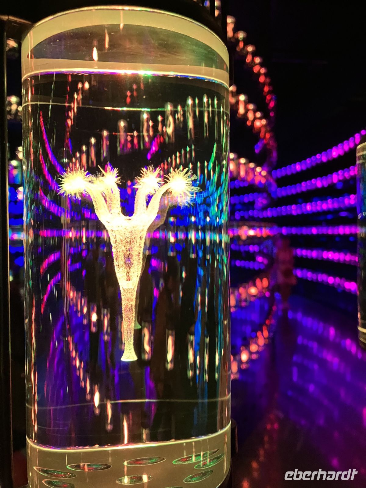 DNA Bibliothek im Museum der Zukunft