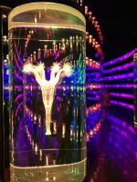 DNA Bibliothek im Museum der Zukunft