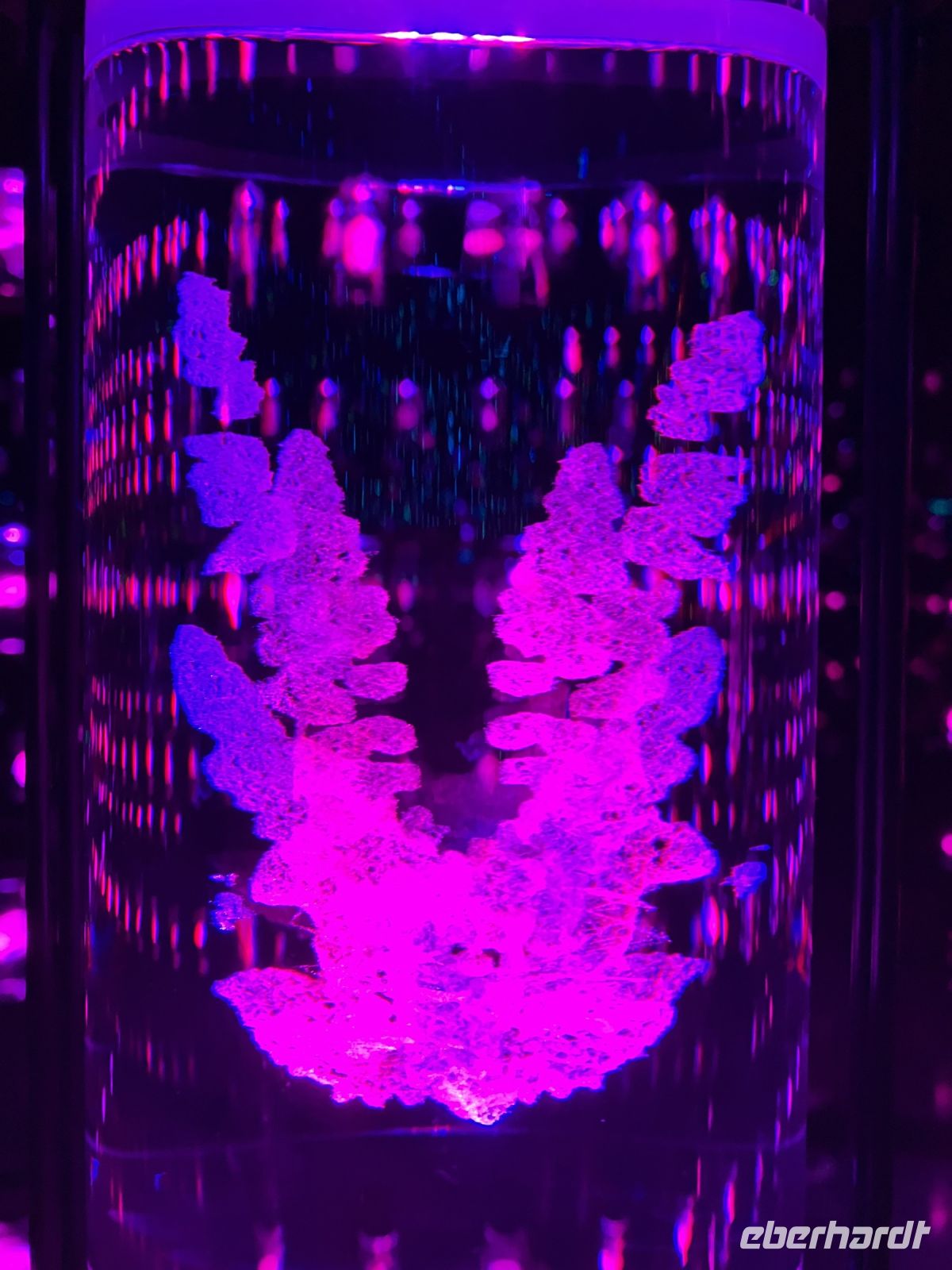 DNA Bibliothek Museum der Zukunft