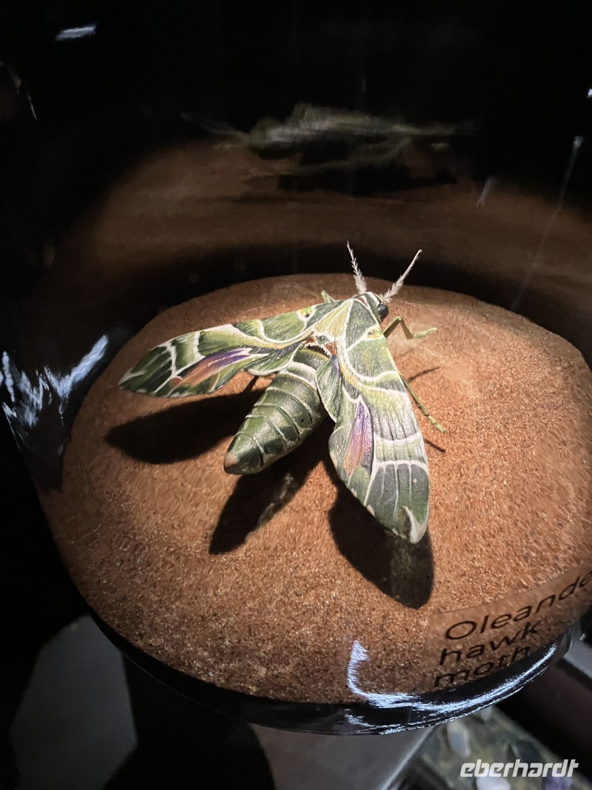 EXPO - Vision Pavillon - Ausstellung