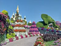 Miracle Garden