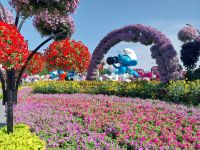 Miracle Garden
