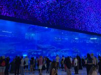 Dubai Mall, Aquarium