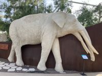 Dubai, EXPO-Gelände, im Nachhaltigkeits - Pavillion 