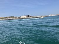 Yachtausflug Dubai Marina