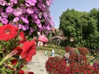Dubai, Miracle Garden, zu Besuch bei den Schlümpfen