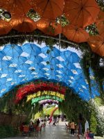 Dubai, Miracle Garden