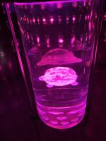 Dubai, Museum of the Future - Museum der Zukunft