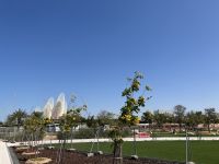 Abu Dhabi, Kulturinsel